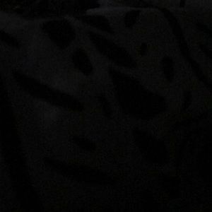 Meet your Posher, Murphy